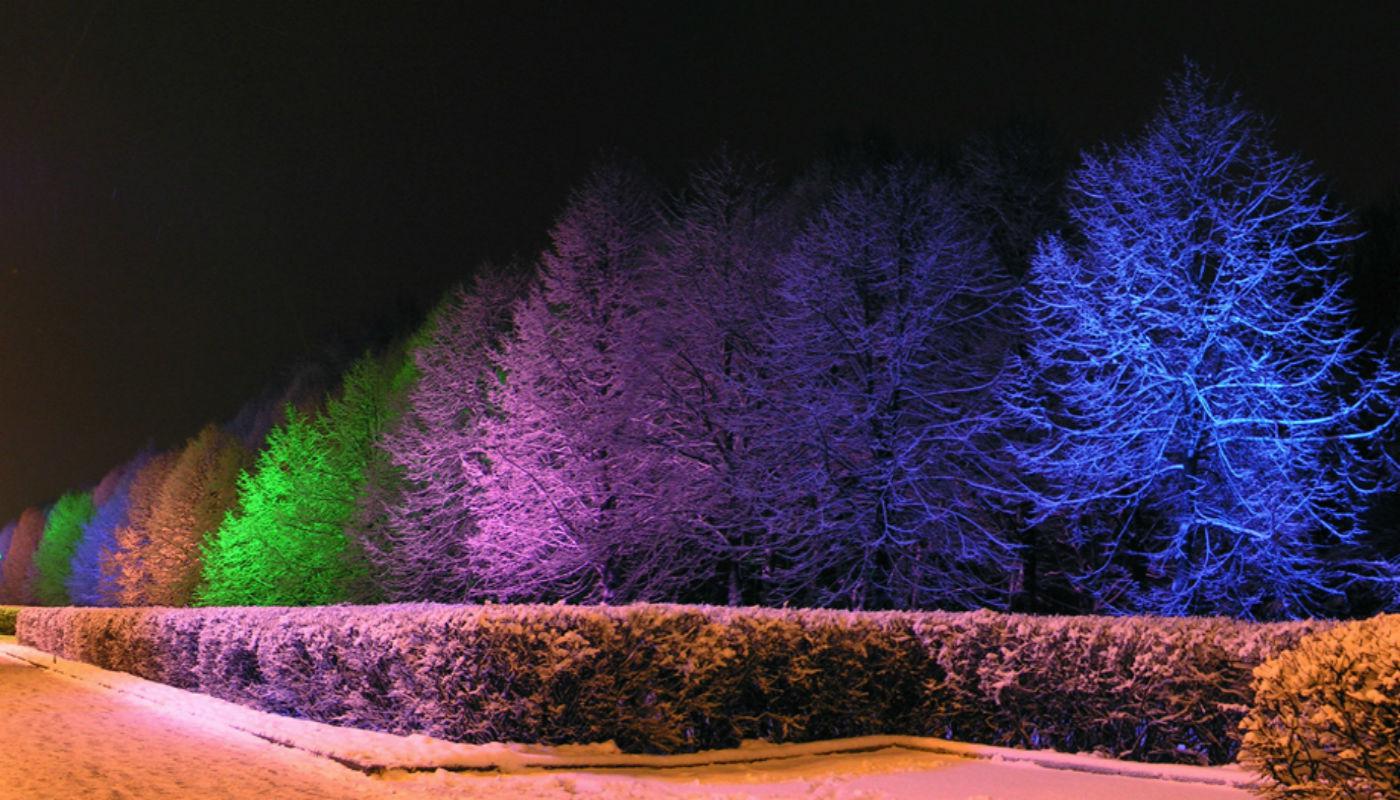 архитектурная подсветка ландшафтное освещение подсветка деревьев 
